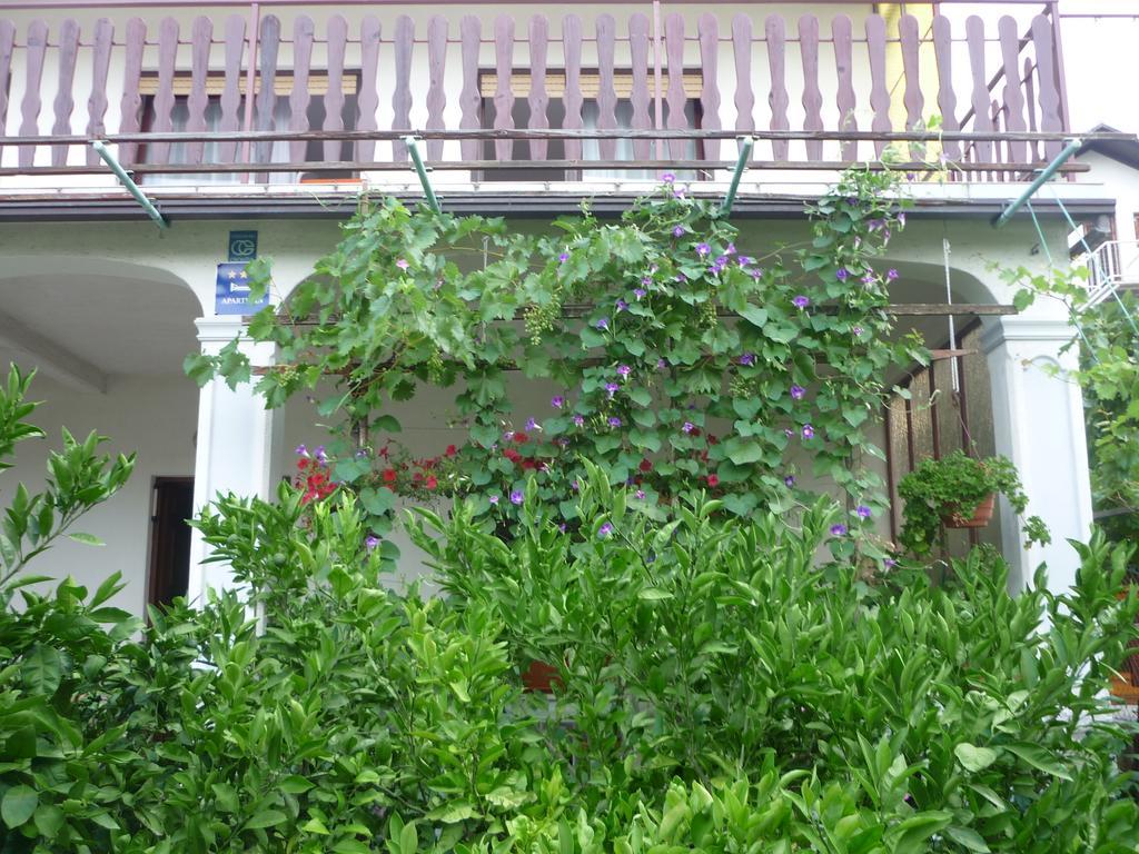 Apartment Marija Selce Bilik gambar